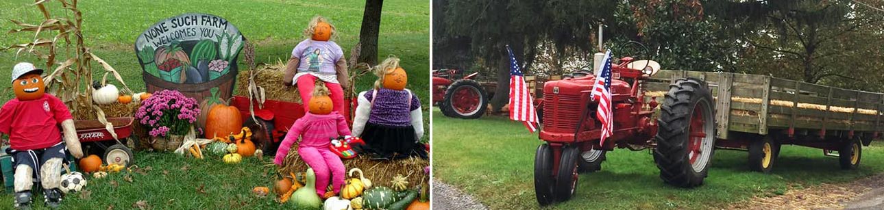 Fall Pumpkin Festival