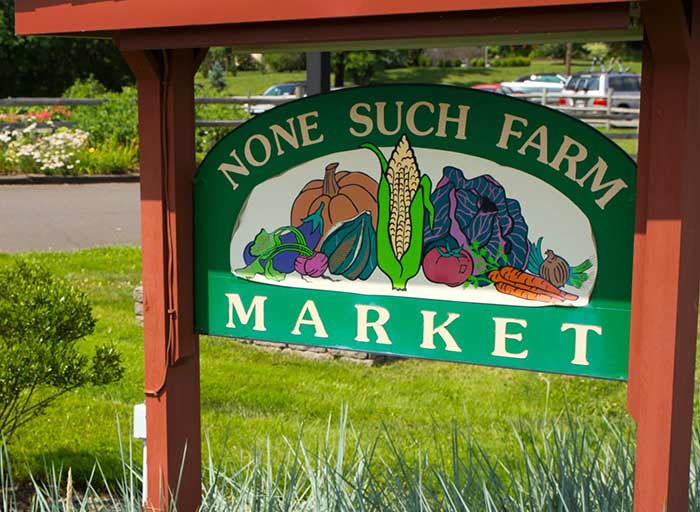 None Such Farm Market Buckingham PA